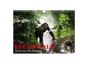 9783435703302 - Regenwald - Tiere im Dschungel (Wandkalender 2025 DIN A4 quer) CALVENDO Monatskalender