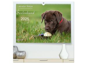 9783435703326 - Labrador Welpe - Seelenhund (hochwertiger Premium Wandkalender 2025 DIN A2 quer) Kunstdruck in Hochglanz