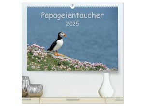 9783435703357 - Papageientaucher 2025 (hochwertiger Premium Wandkalender 2025 DIN A2 quer) Kunstdruck in Hochglanz