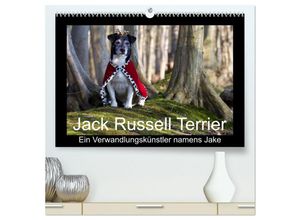 9783435703548 - Jack Russell TerrierEin Verwandlungskünstler namens Jake (hochwertiger Premium Wandkalender 2025 DIN A2 quer) Kunstdruck in Hochglanz