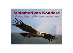 9783435703845 - Südamerikas Kondore - Majestätische Könige der Anden (Wandkalender 2025 DIN A2 quer) CALVENDO Monatskalender