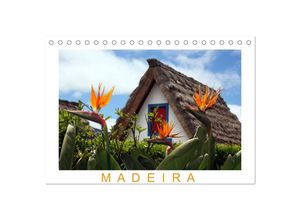 9783435703913 - Madeira (Tischkalender 2025 DIN A5 quer) CALVENDO Monatskalender