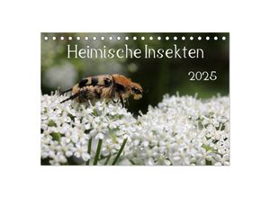 9783435704064 - Heimische Insekten 2025 (Tischkalender 2025 DIN A5 quer) CALVENDO Monatskalender