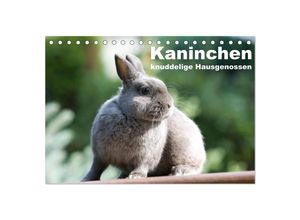 9783435704132 - Kaninchen - knuddelige Hausgenossen (Tischkalender 2025 DIN A5 quer) CALVENDO Monatskalender