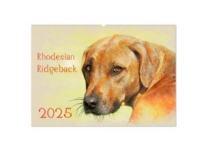 9783435704682 - Rhodesian Ridgeback 2025 (Wandkalender 2025 DIN A2 quer) CALVENDO Monatskalender