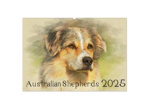 9783435704798 - Australian Shepherds 2025 (Wandkalender 2025 DIN A2 quer) CALVENDO Monatskalender