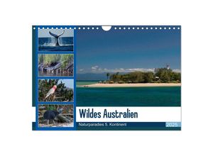 9783435704859 - Wildes Australien - Naturparadies 5 Kontinent (Wandkalender 2025 DIN A4 quer) CALVENDO Monatskalender