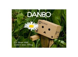 9783435705108 - Danbo - Ein kleiner Held meistert seinen Alltag (Wandkalender 2025 DIN A2 quer) CALVENDO Monatskalender