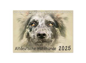 9783435705160 - Altdeutsche Hütehunde 2025 (Tischkalender 2025 DIN A5 quer) CALVENDO Monatskalender