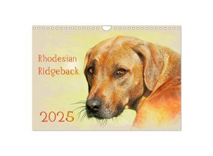 9783435705627 - Rhodesian Ridgeback 2025 (Wandkalender 2025 DIN A4 quer) CALVENDO Monatskalender