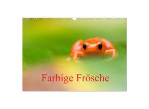 9783435706358 - Farbige Frösche (Wandkalender 2025 DIN A3 quer) CALVENDO Monatskalender