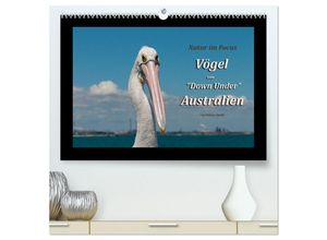 9783435706594 - Vögel von Down Under Australien (hochwertiger Premium Wandkalender 2025 DIN A2 quer) Kunstdruck in Hochglanz