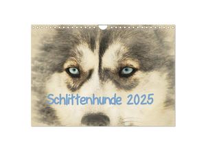 9783435706761 - Schlittenhunde 2025 (Wandkalender 2025 DIN A4 quer) CALVENDO Monatskalender