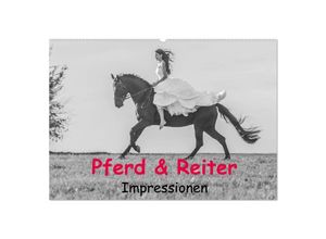 9783435706846 - Pferd & Reiter - Impressionen (Wandkalender 2025 DIN A2 quer) CALVENDO Monatskalender