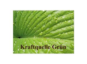 9783435707133 - Kraftquelle Grün (Wandkalender 2025 DIN A2 quer) CALVENDO Monatskalender