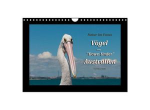 9783435708024 - Vögel von Down Under Australien (Wandkalender 2025 DIN A4 quer) CALVENDO Monatskalender