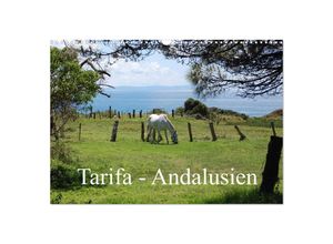 9783435708130 - Tarifa - Andalusien (Wandkalender 2025 DIN A3 quer) CALVENDO Monatskalender