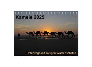 9783435708635 - Kamele 2025 - Unterwegs mit zottigen Wüstenschiffen (Tischkalender 2025 DIN A5 quer) CALVENDO Monatskalender