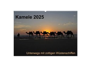 9783435709113 - Kamele 2025 - Unterwegs mit zottigen Wüstenschiffen (Wandkalender 2025 DIN A2 quer) CALVENDO Monatskalender