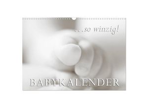 9783435709502 - so winzig - Babykalender (Wandkalender 2025 DIN A3 quer) CALVENDO Monatskalender