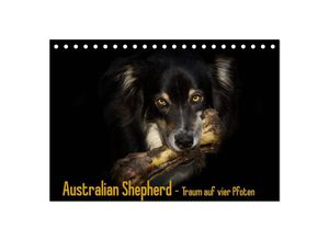 9783435709571 - Australian Shepherd - Traum auf vier Pfoten (Tischkalender 2025 DIN A5 quer) CALVENDO Monatskalender