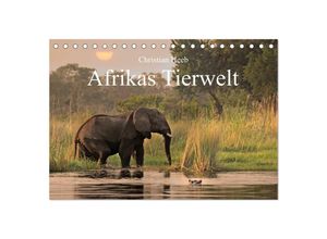 9783435709687 - Afrikas Tierwelt Christian Heeb (Tischkalender 2025 DIN A5 quer) CALVENDO Monatskalender