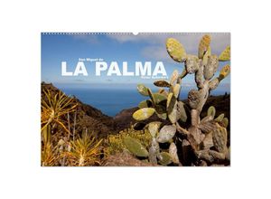 9783435709755 - San Miguel de la Palma (Wandkalender 2025 DIN A2 quer) CALVENDO Monatskalender