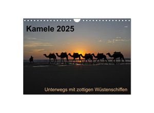 9783435709984 - Kamele 2025 - Unterwegs mit zottigen Wüstenschiffen (Wandkalender 2025 DIN A4 quer) CALVENDO Monatskalender