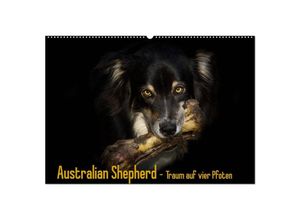 9783435710096 - Australian Shepherd - Traum auf vier Pfoten (Wandkalender 2025 DIN A2 quer) CALVENDO Monatskalender