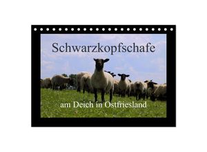 9783435710140 - Schwarzkopfschafe am Deich in Ostfriesland (Tischkalender 2025 DIN A5 quer) CALVENDO Monatskalender