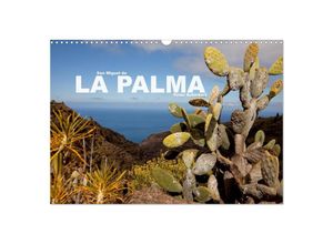 9783435710195 - San Miguel de la Palma (Wandkalender 2025 DIN A3 quer) CALVENDO Monatskalender