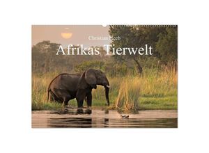 9783435710201 - Afrikas Tierwelt Christian Heeb (Wandkalender 2025 DIN A2 quer) CALVENDO Monatskalender