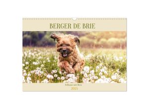 9783435710379 - Berger de Brie - Fellnase mit Herz (Wandkalender 2025 DIN A3 quer) CALVENDO Monatskalender