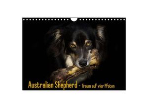 9783435710935 - Australian Shepherd - Traum auf vier Pfoten (Wandkalender 2025 DIN A4 quer) CALVENDO Monatskalender