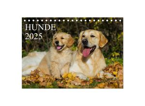 9783435711390 - Hunde - Treue Freunde für´s Leben (Tischkalender 2025 DIN A5 quer) CALVENDO Monatskalender