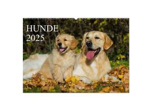 9783435711864 - Hunde - Treue Freunde für´s Leben (Wandkalender 2025 DIN A2 quer) CALVENDO Monatskalender