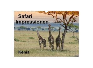 9783435712205 - Safari Impressionen   Kenia (Wandkalender 2025 DIN A3 quer) CALVENDO Monatskalender