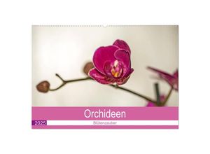 9783435712649 - Blütenzauber Orchideen (Wandkalender 2025 DIN A2 quer) CALVENDO Monatskalender