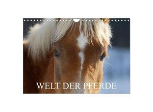 9783435712687 - Welt der Pferde (Wandkalender 2025 DIN A4 quer) CALVENDO Monatskalender