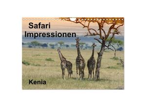 9783435712731 - Safari Impressionen   Kenia (Wandkalender 2025 DIN A4 quer) CALVENDO Monatskalender