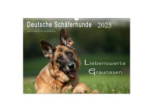 9783435712755 - Deutsche Schäferhunde - Liebenswerte Graunasen (Wandkalender 2025 DIN A3 quer) CALVENDO Monatskalender