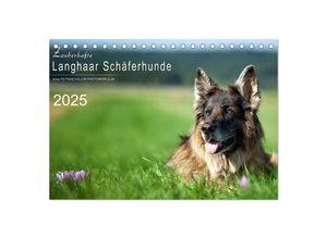 9783435712861 - Zauberhafte Langhaar Schäferhunde (Tischkalender 2025 DIN A5 quer) CALVENDO Monatskalender