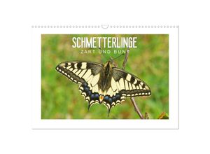 9783435713226 - Schmetterlinge zart und bunt (Wandkalender 2025 DIN A3 quer) CALVENDO Monatskalender