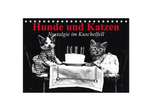 9783435713356 - Hunde und Katzen - Nostalgie im Kuschelfell (Tischkalender 2025 DIN A5 quer) CALVENDO Monatskalender