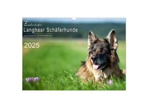 9783435713714 - Zauberhafte Langhaar Schäferhunde (Wandkalender 2025 DIN A3 quer) CALVENDO Monatskalender