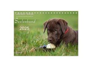 9783435714353 - Labrador Welpe - Seelenhund (Tischkalender 2025 DIN A5 quer) CALVENDO Monatskalender