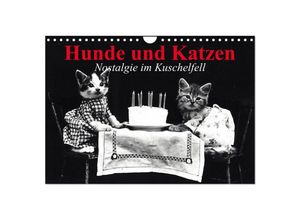 9783435714780 - Hunde und Katzen - Nostalgie im Kuschelfell (Wandkalender 2025 DIN A4 quer) CALVENDO Monatskalender