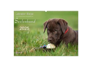 9783435714889 - Labrador Welpe - Seelenhund (Wandkalender 2025 DIN A2 quer) CALVENDO Monatskalender