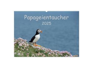 9783435715084 - Papageientaucher 2025 (Wandkalender 2025 DIN A2 quer) CALVENDO Monatskalender