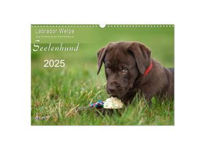 9783435715350 - Labrador Welpe - Seelenhund (Wandkalender 2025 DIN A3 quer) CALVENDO Monatskalender